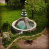 Insta 25