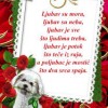 ljubav