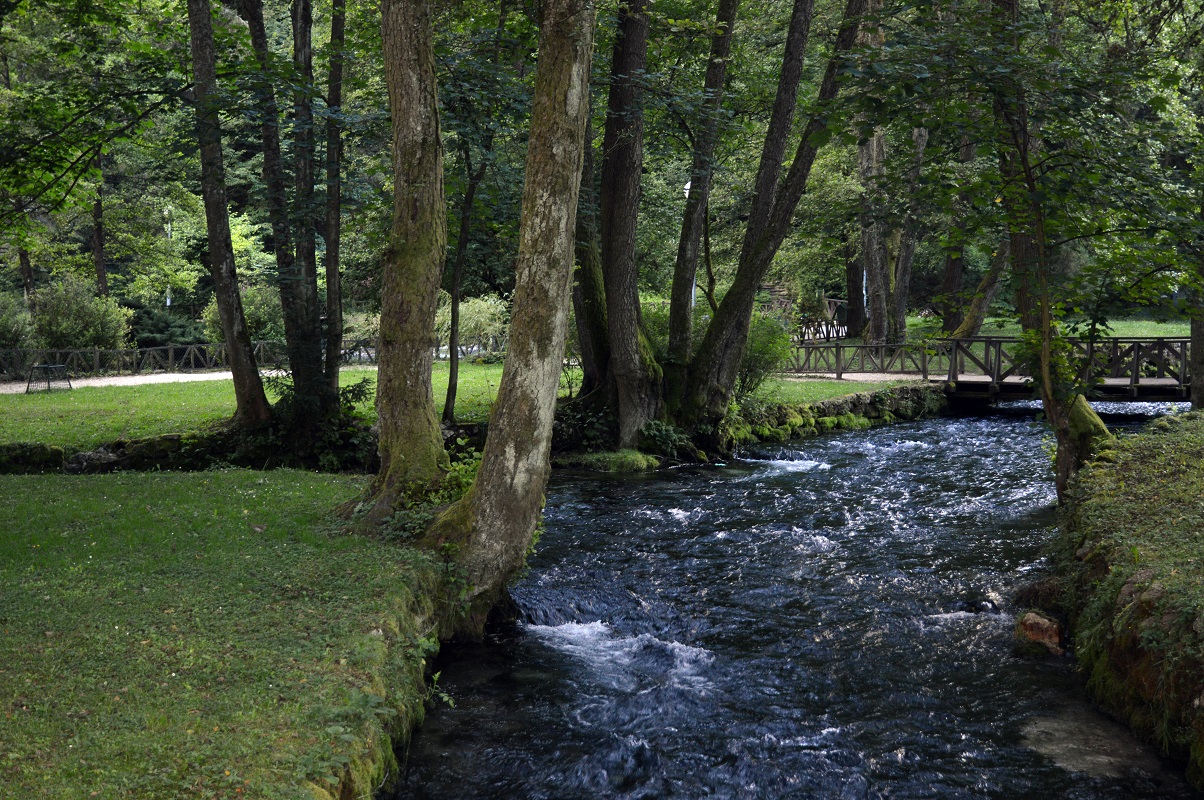 Rjeka Bosna / River Bosna