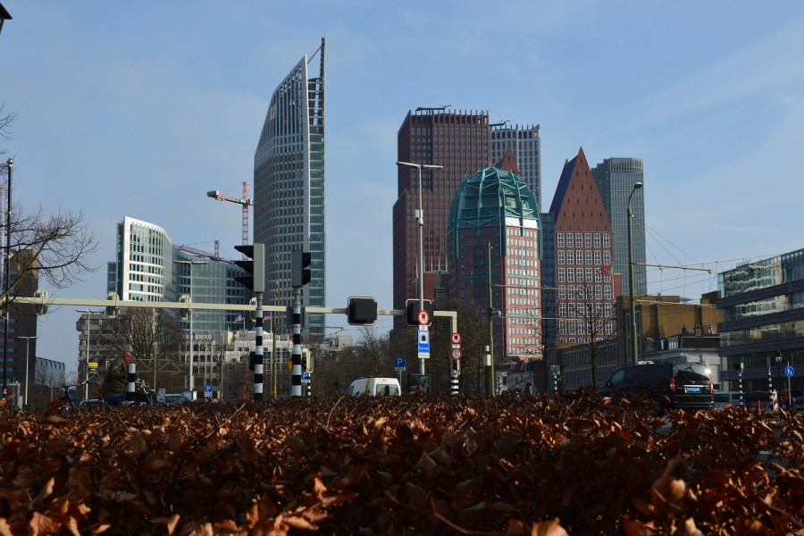 DSC_0168