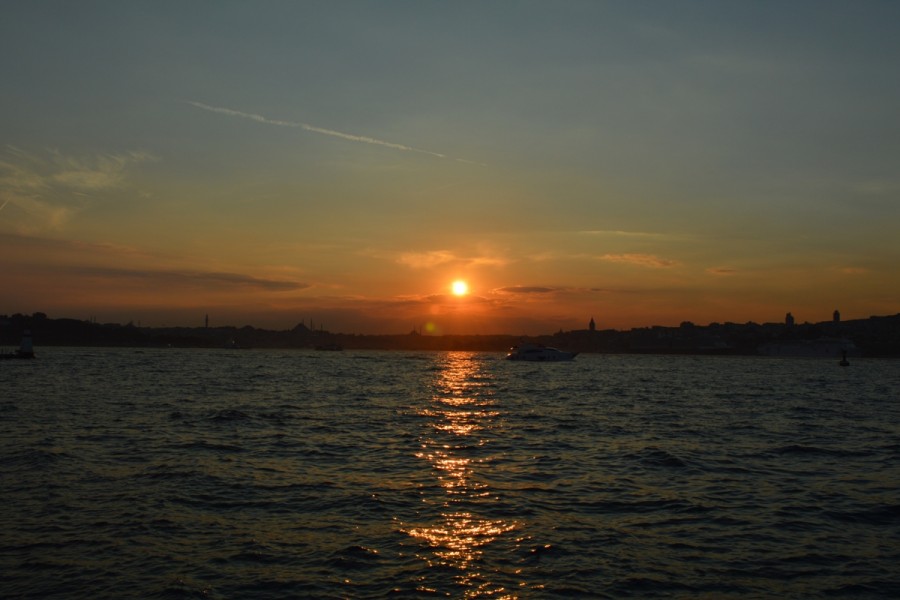 DSC_0204