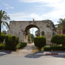 Tarsus
