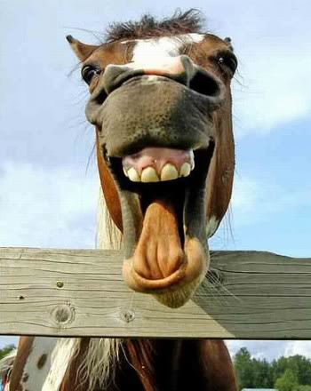 Funny or Not: A Theory of Joking Relativity