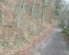 DSC05916