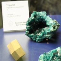 IMG_9585