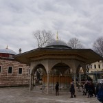 DSC06268