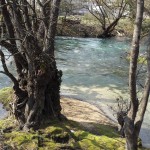 20150409_151346 (2)