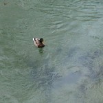 20150410_185059_resized