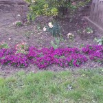 20150411_191027_resized