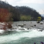 20150412_114928_resized