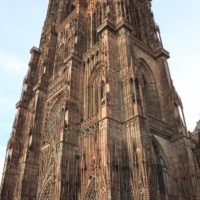 IMG_4245