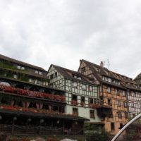 IMG_4315