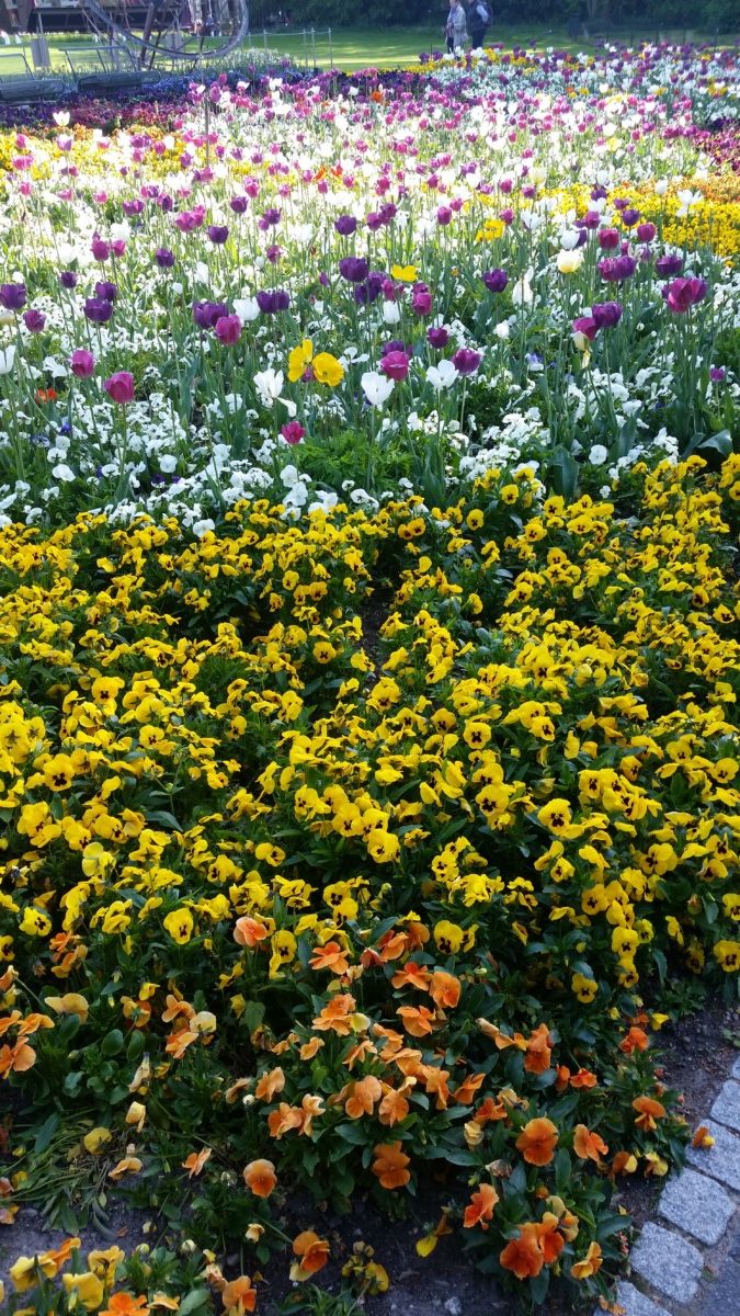 20170430_180705