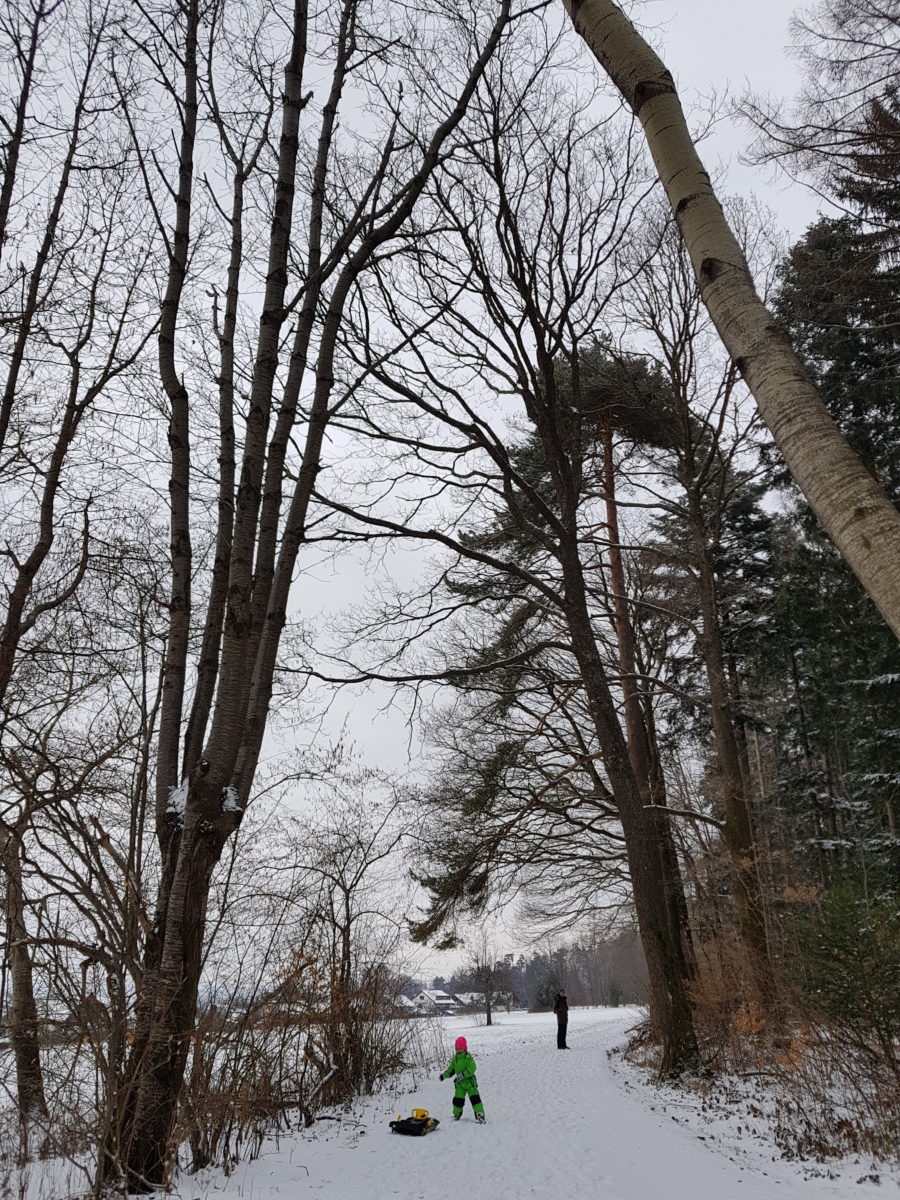 20180318_115920