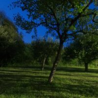 IMG-20180820-WA0008