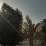 Screenshot_2